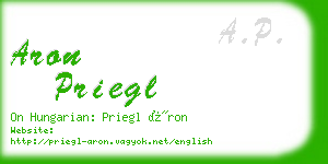 aron priegl business card